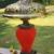 American Victorian Parlor Lamp 1 thumbnail