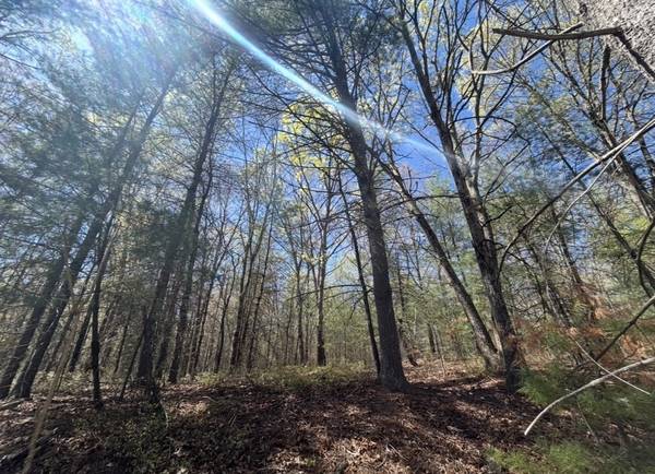 $12,000 Birchwood Lake private community (Dingmans ferry Pa)