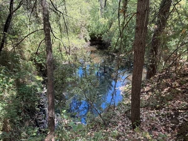 $169,000 10.01 Acres, 3 Miles from the Yuba River,  Pond, Old Home Site (Nevada City)63952104973443121