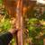 GUTTER CLEANING & REPAIR $99 9 thumbnail
