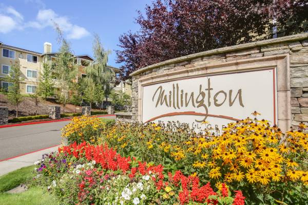 $1,917 / 1br - 745ft2 - 1 Bed 1 Bath W/White Quartz Counters Kitchen & Full Size W/D In Unit!! (Everett/Mukilteo/Boeing)63852484214785120