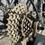 2016 Specialized Roubaix SL4 Disc Carbon – Tiagra 10-Speed – Size 56cm 9 thumbnail