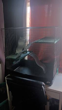 Rat cage - $60 obo 1