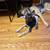 Gerberian Shepsky 4 thumbnail