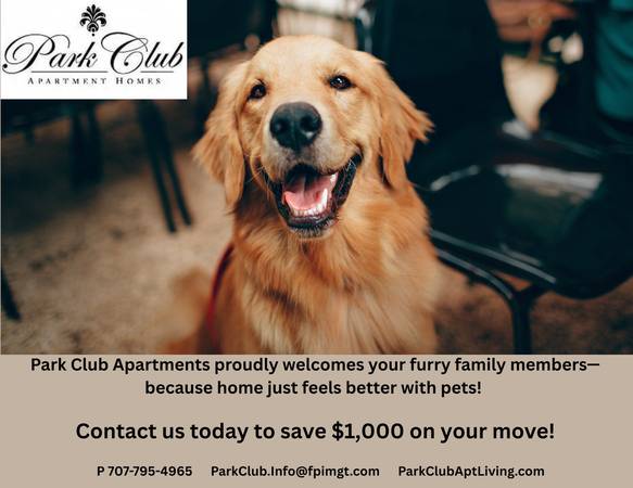 Settle Into ComfortYour 1-Bedroom Awaits. 1