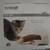 Frolicat - Fox Den - (New) - Interactive Toy 1 thumbnail