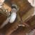 RESIDENCIAL plumbing and sewer and drain cleaning 11 thumbnail