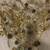 Shiny Gold 90+piece Christmas Decor Lot Fabric Ribbon Stems Ornaments Angels 8 thumbnail