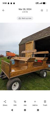 Mini horse buckboard wagon 1