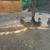 Gallinitas buche pelon 2 thumbnail
