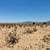 2.5 Acre of Land with Paid Water Meter, Owner Finance, Must Sell 5 thumbnail