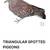 African triangle spot rock pigeons 2 thumbnail