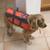 Dog Life Vest Medium Bright Orange and Grey 8 thumbnail