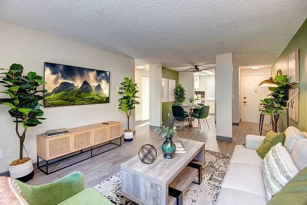 $1,675 / 2br - 776ft2 - 🏡 Multiple 2BR/1BA Classic Units | 776 Sq. Ft | Available Now! (31004 19th PL SW, Seattle-Tacoma, WA)63948084023171122