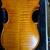 STRINGS!:Jazz Bass; violin ;cello case 3 thumbnail