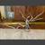 DRIFTWOOD 1 thumbnail