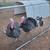 Turkeys ready for processing 1 thumbnail