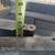 Large Morse Taper 5+6 centers, and bit metal engine lathe tool bits 14 thumbnail