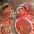 Easter egger and olive eggers chicks 1 thumbnail