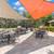 Dishwasher, Pet Friendly, Large Dogs Accepted. No pet rent 1bd 1ba! 4 thumbnail