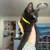 Kittens 1 thumbnail