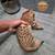 Exotic Savannah Kittens 1k 2 thumbnail