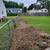 Stump Grinding/Removal Services 7 thumbnail