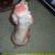 1962 STATE FAIR COCKER SPANIEL CARNIVAL CHALK FIGURE! Large 10" Tall!! 5 thumbnail