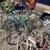 Vintage bikes $10 each 4 thumbnail