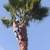 HANDYMAN & TREE TRIMMING SERVICES - ✮ FREE ESTIMATES ✮ 1 thumbnail