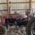 IH model H tractor for sale or trade for older cows or calves 4 thumbnail
