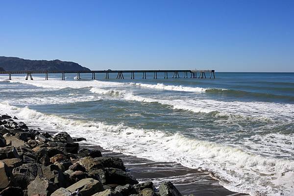 Sundeck, Lush Landscaping 1