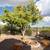Lovely 2 bedroom in Oracle 17 thumbnail