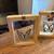 Framed Butterflies 4 thumbnail