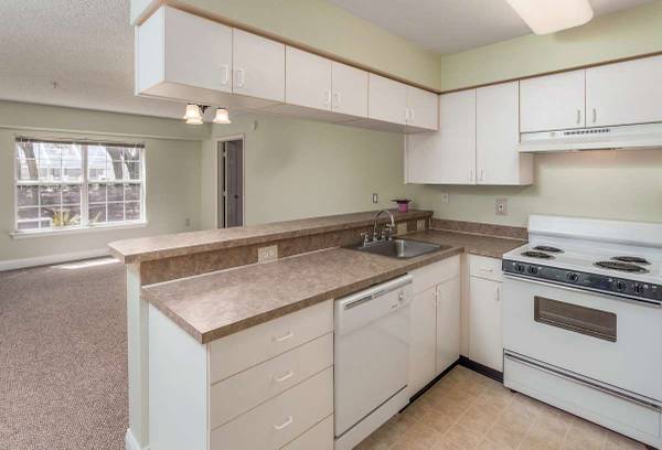 $1,125 / 1br - 605ft2 - Melbourne's charm: Perfect 1 bed, 1 bath in a coveted area. (Melbourne)63823720466305120