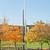 Capitol Hill Work Loft Co-Working Office Space 650 Sq Feet 5 thumbnail