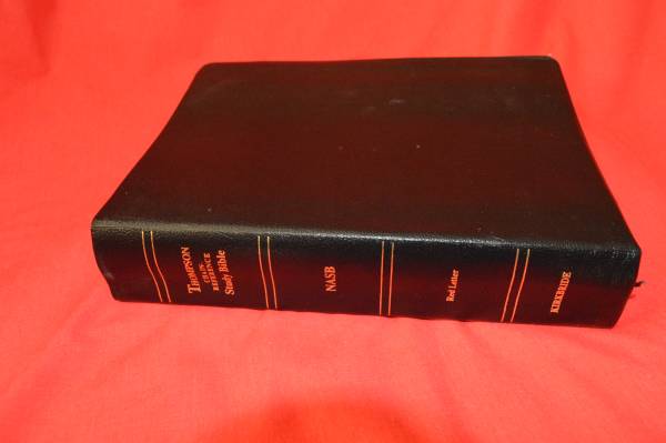 1993 Thompson Chain-Reference Bible, Gilded Edge, NASB 1