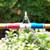 fishing rod for sale 1 thumbnail