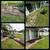 Landscaping, Lawn Mowing, Yard Clean up,  Trimming, Mulching 4 thumbnail