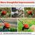 Airbike Weed Wacker 2.0 Electronic 6 thumbnail