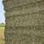 DRY ALFALFA HAY – BIG SQUARES 3 thumbnail