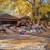 Huge Yard Sale, Toy Collection 30 years 1 thumbnail