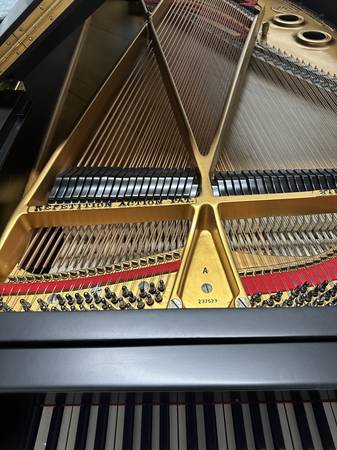 Steinway & Sons Model A stretched scale 6' 4" 1