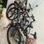 Bikes for parts or fix ups 3 thumbnail