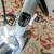 Trek 2100 Composite Road bike 56.5 cm  Totally ready for service 13 thumbnail