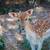Affordable Animal Photography 4 thumbnail