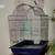 *** LIKE NEW BIG bird cage / Open Top bird Cage / Parrot cage *** 1 thumbnail