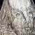 William Shakespeare Brass Rubbing 5 thumbnail