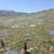 3 side by side lots package sale- 12 acres 19 thumbnail