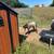 Mini app stud 2 months old pony 7 thumbnail